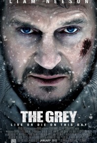 grey_xlg
