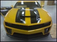 bumblebee