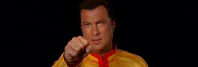 steven-seagal-puncher