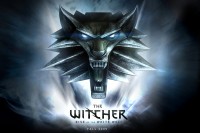 the_witcher_rise_of_the_white_wolf_6