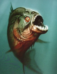 piranha3d