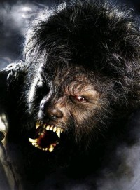 wolfman14