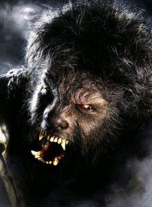 wolfman14