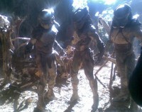predators5