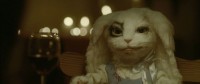WeRAnimals5