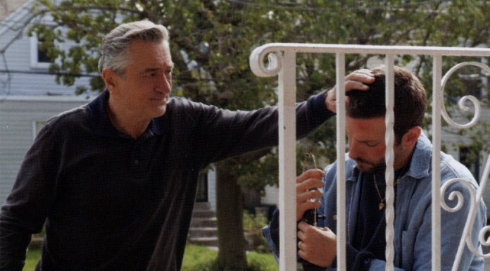 The Silver Linings Playbook – Sinopsis și imagini