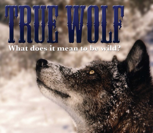 The Wolf – Trailer și Poster