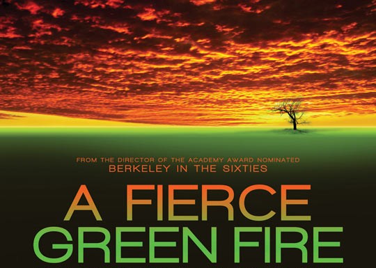 A Fierce Green Fire – Trailer și Poster