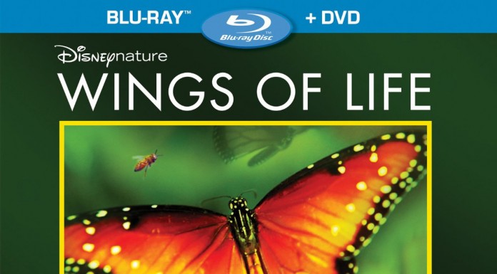 Wings of Life – Trailer