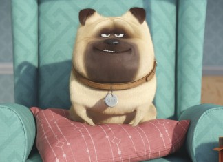 The Secret Life Of Pets – Teasere, Trailere și Postere