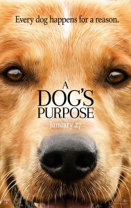 dogs_purpose_xxlg