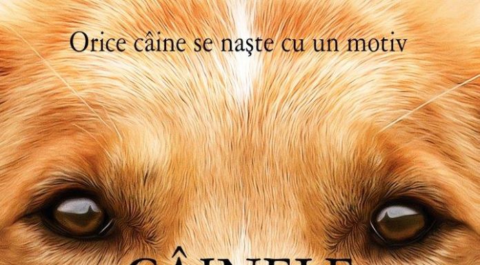 „Câinele, adevăratul meu prieten” îşi dă întâlnire cu spectatorii din 27 ianuarie la cinema