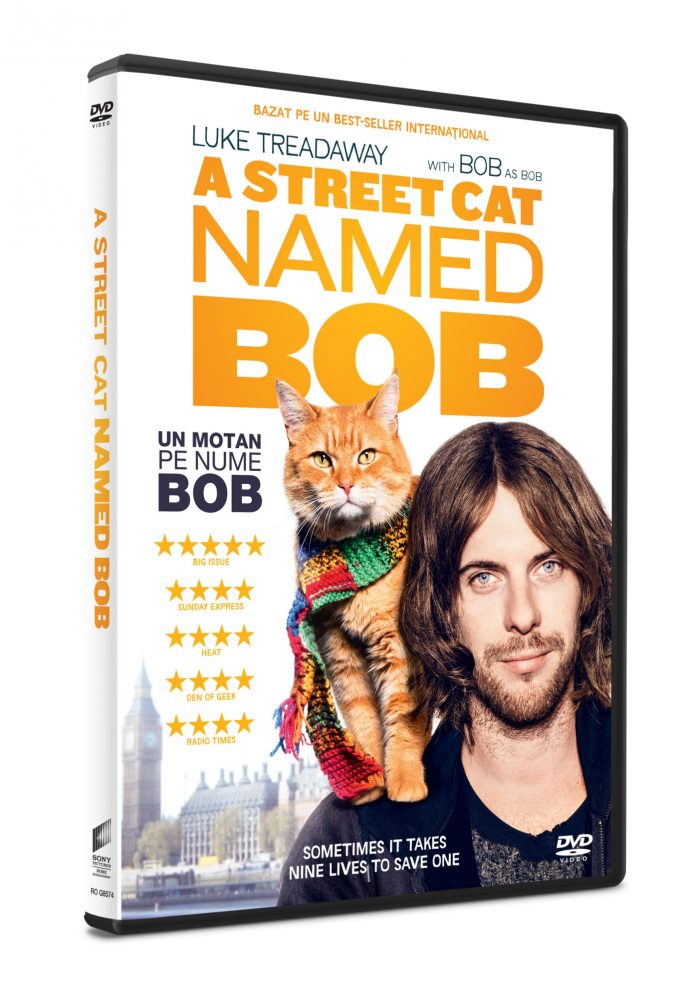 aStreetCatNamedBob_DVD_3D