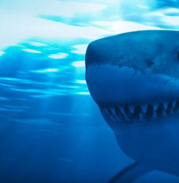 Deep Blue Sea 2 – Trailer