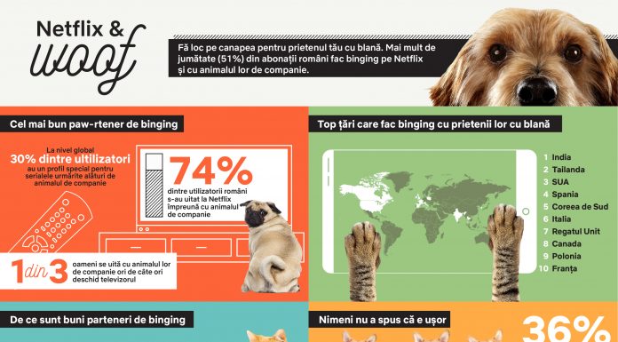 NETFLIX & WOOF: Binging-ul este pentru câini (și pisici)