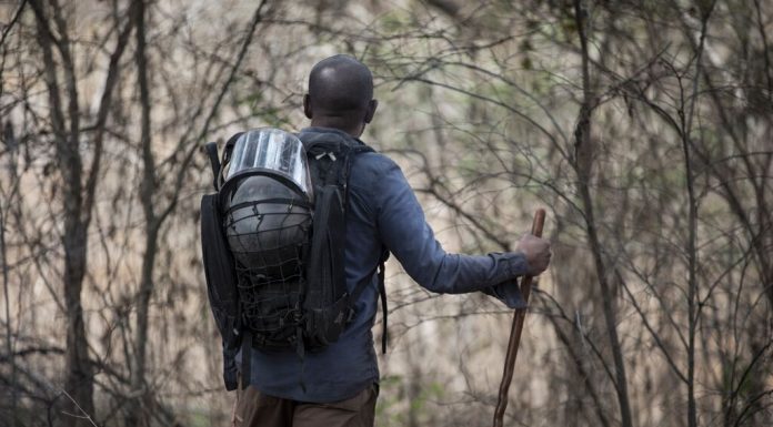 Undă verde pentru sezoanele 5 din „Fear the Walking Dead” și „Better Call Saul” (AMC)