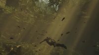 Shadow of the Tomb Raider