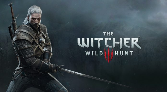 Dark Horse The Witcher 3 Wild Hunt PVC Statue – Recenzie