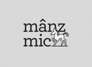 Mânz mic ajunge în vizită la… Creative Monkeyz