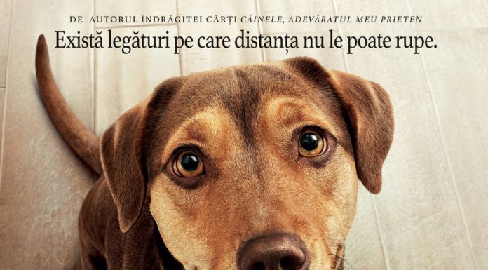 „Drumul unui câine spre casă” ajunge la cinema