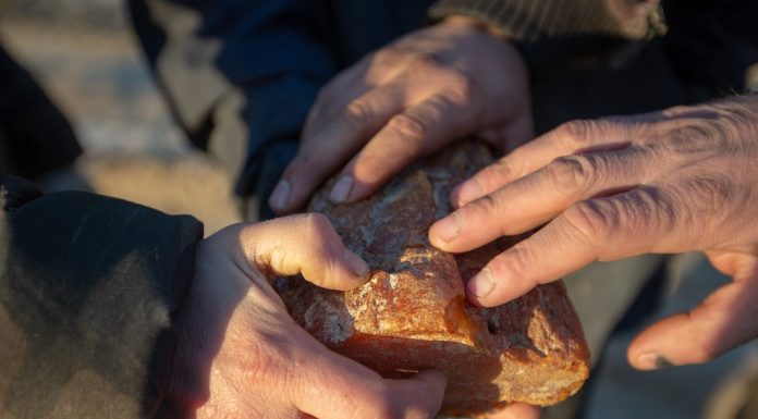 Din 25 iunie, HISTORY transmite în exclusivitate, un nou serial: „În căutarea chihlimbarului, aurul baltic”