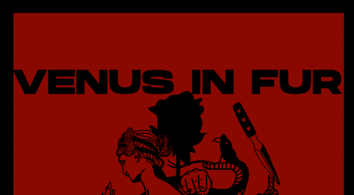 Venus in Fur