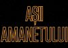 HISTORY difuzează, în exclusivitate, episoade noi din seria „Așii Amanetului”