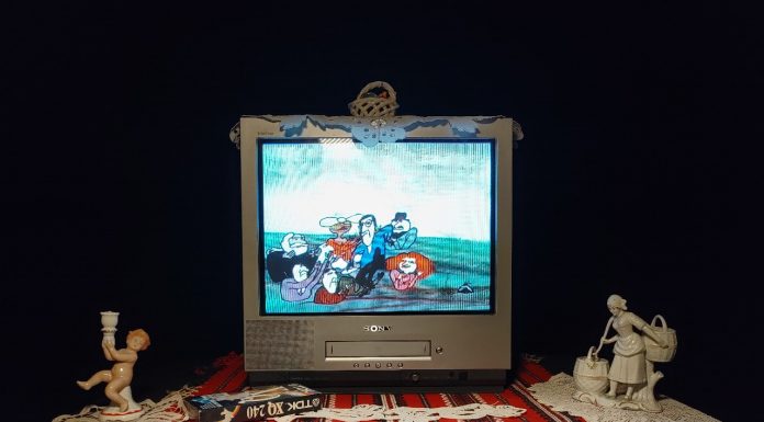 În culisele Animest.15 – din ce orașe s-au văzut filmele de animație ale anului?