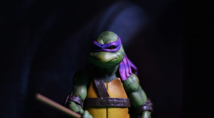 Teenage Mutant Ninja Turtles (TMNT) – Donatello – NECA – Prezentare