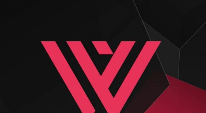 WE AS WEB: Afaceri de 32 milioane Euro și profit net de 5 milioane Euro în 2024; miza pe AI și Cybersecurity