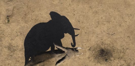 Documentar produs de James Cameron și multe alte premiere la National Georgraphic și Wild de Ziua Pământului