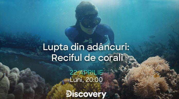 Discovery sărbătoreste Ziua Pământului cu un documentar inedit: “Lupta din adâncuri: Reciful de corali”