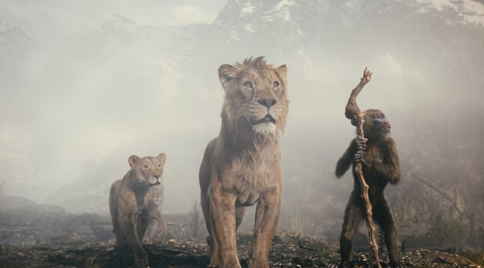„Mufasa: Regele Leu” disponibil acum pe Disney+!