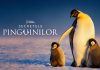 De Ziua Pământului National Geographic prezintă Secretele Pinguinilor – serie nouă