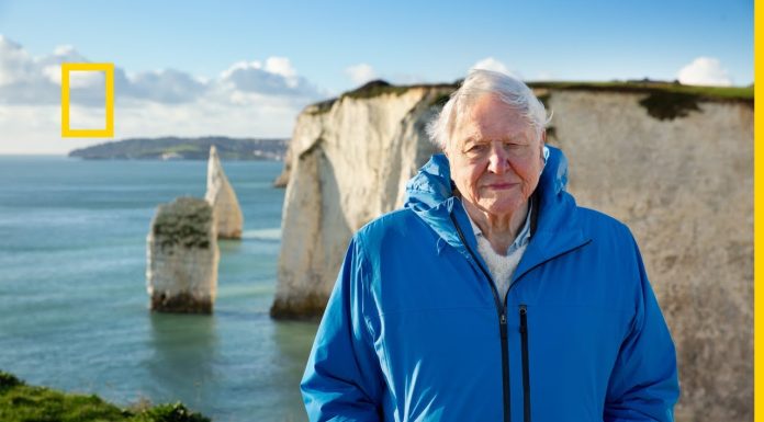 Oceanul cu David Attenborough premieră de Ziua Oceanelor la National Geographic