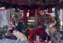 Cu 10 săptămâni înainte de Crăciun, la DIVA ne amintim cât de important este să ne întoarcem acasă