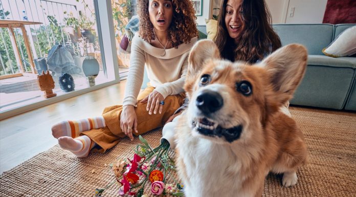 Studiu realizat de Grupul LEGO de Valentine’s Day: Florile rămân cadoul cu risc minim și impact maxim