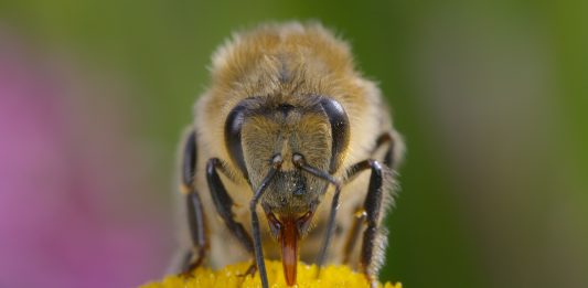 Noutățile lunii aprilie 2026 la National Geographic si National Geographic Wild