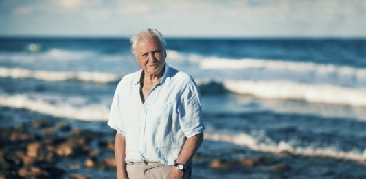 Sir David Attenborough sărbătorește 100 de ani – iar BBC Earth sărbătorește cu un program dedicat