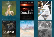 Spectacolul naturii se dezvăluie la Brașov în expozițiile de fotografie de la LYNX festival