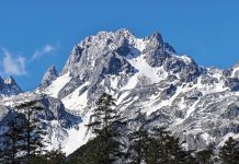 Cum redefinește seria HONOR 600 experiența foto-video în era AI