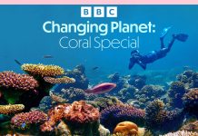 Povești despre curaj, natură și schimbare: BBC Earth explorează lumea dincolo de limitele convenționale