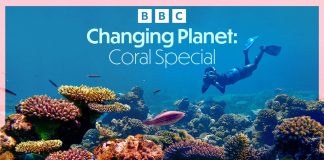 Povești despre curaj, natură și schimbare: BBC Earth explorează lumea dincolo de limitele convenționale