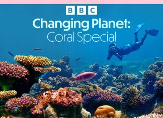 Povești despre curaj, natură și schimbare: BBC Earth explorează lumea dincolo de limitele convenționale