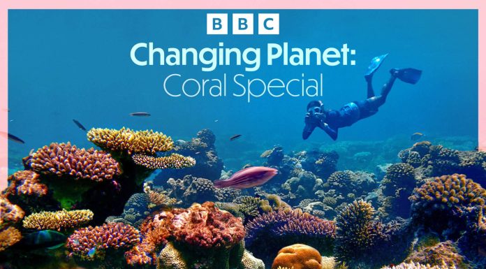 Povești despre curaj, natură și schimbare: BBC Earth explorează lumea dincolo de limitele convenționale