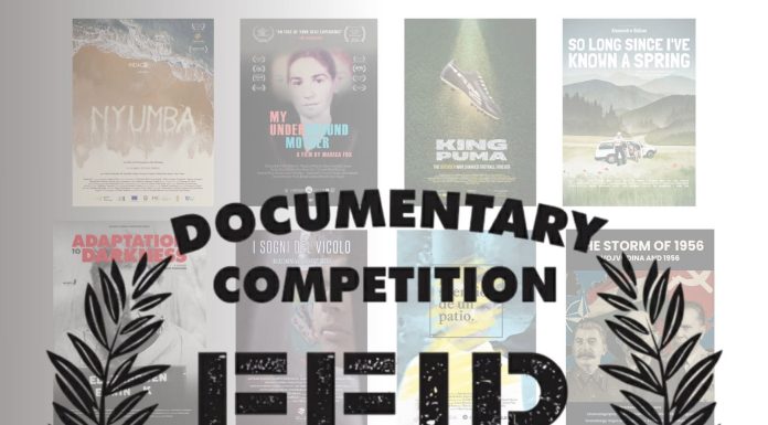 14 documentare din întreaga lume intră în competiția internațională a Festivalului de Film și Istorii Râșnov 2026