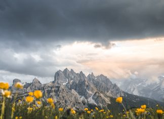 5,3 miliarde de imagini în fiecare zi, la nivel global: seria HONOR 600 simplifică editarea foto cu ajutorul AI