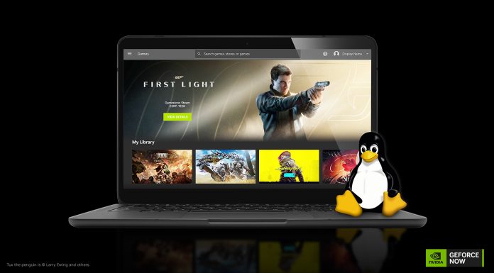 GeForce NOW aduce gamingul pe Linux și Chromebookuri