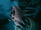 Insidious: Out of the Further – Despre producție și distribuție