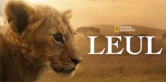Leul – O nouă serie documentară National Geographic